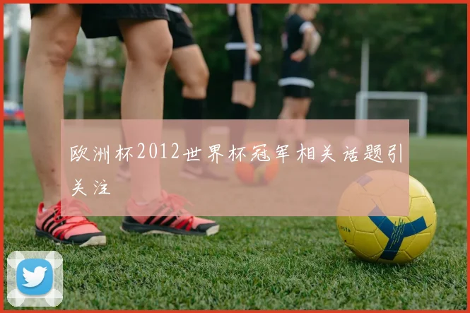 欧洲杯2012世界杯冠军相关话题引关注