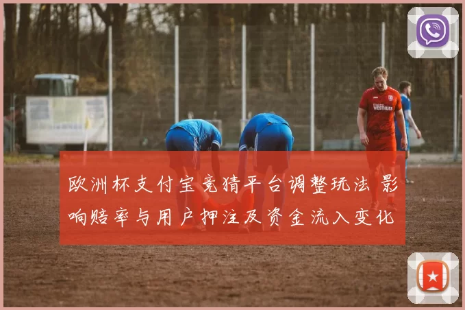 欧洲杯支付宝竞猜平台调整玩法 影响赔率与用户押注及资金流入变化