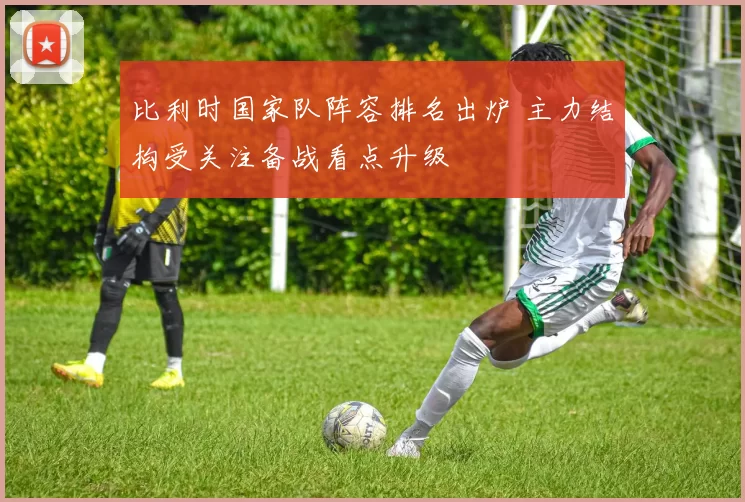 比利时国家队阵容排名出炉 主力结构受关注备战看点升级