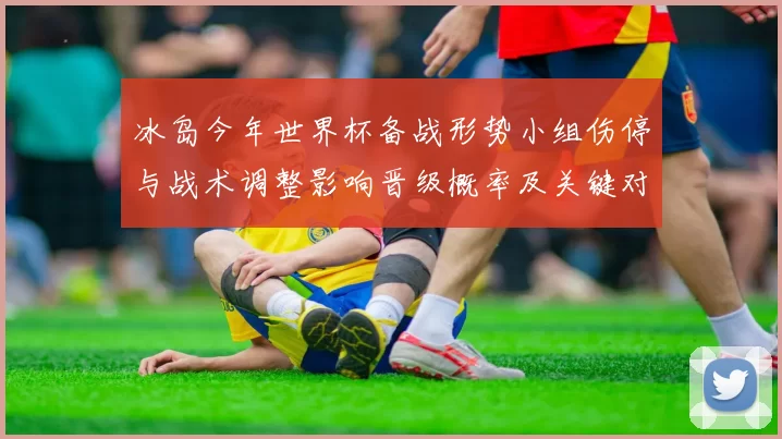 冰岛今年世界杯备战形势小组伤停与战术调整影响晋级概率及关键对手赛程
